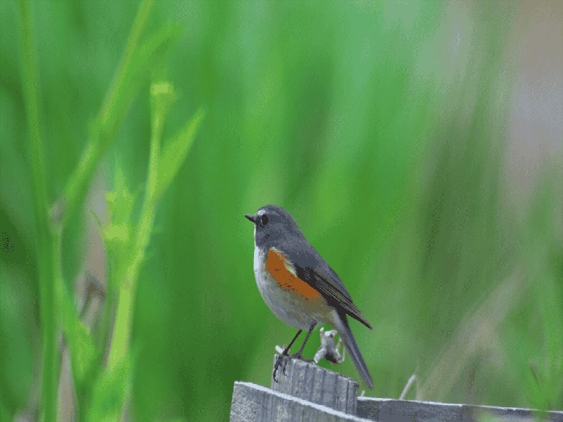试管之后腹水严重辽宁沈阳试管焦作试管医院推荐