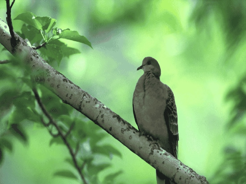 福州惜缘试管代生机构：怀二胎孕吐反应特大，和孕妇自身以及胎儿都有关
