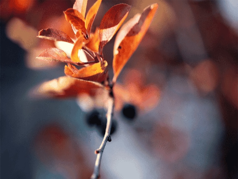 试管后跟血值医院用试管规格试管移植后有口气
